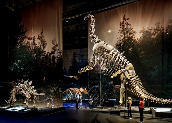 T-rex Trix in Naturalis - Leiden